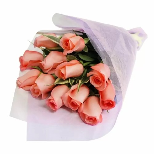 Dozen Pink Roses